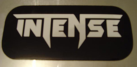 Intense Fridge Magnet